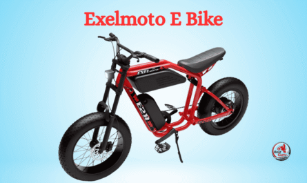 Exelmoto E Bike